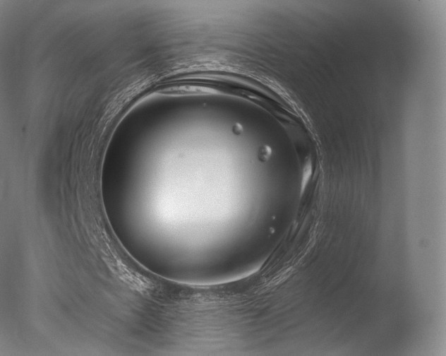 X0000077370481200610201353