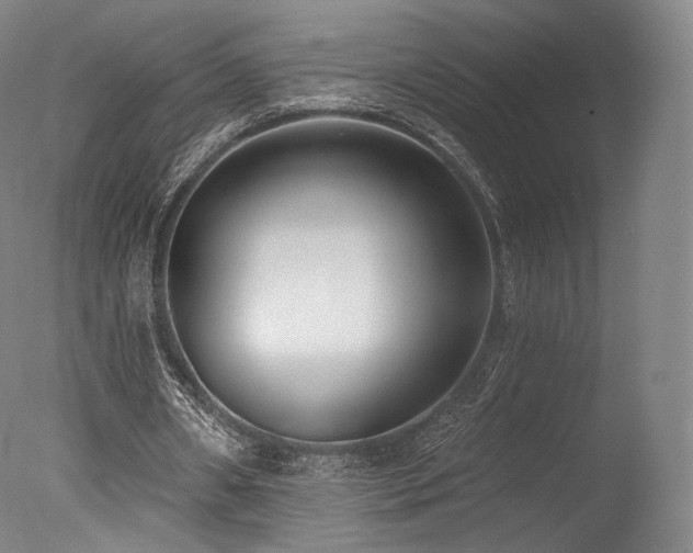 X0000077370482200610201352