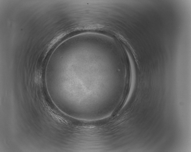 X0000077370483200610201352