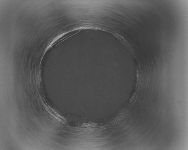 X0000077370484200610201352