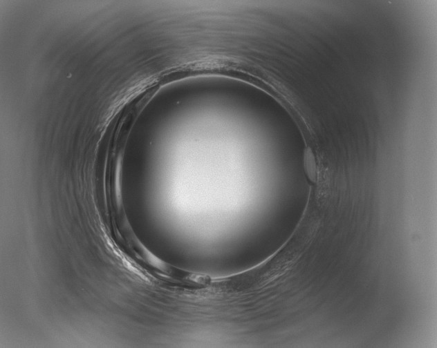 X0000077370485200610201352