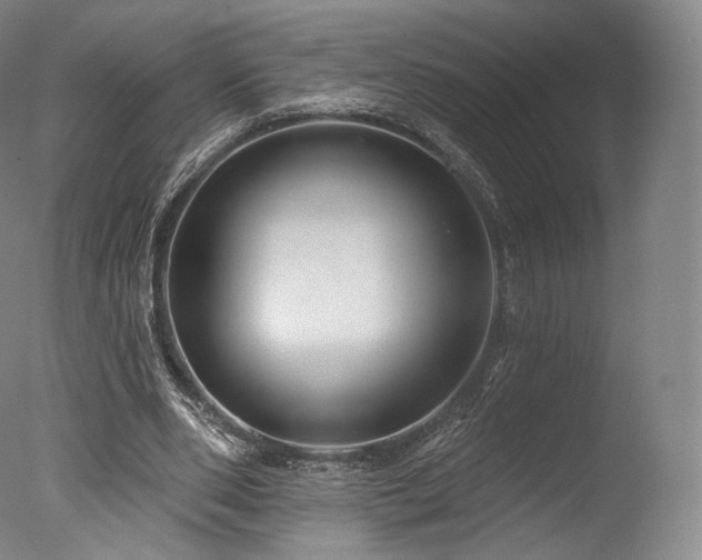 X0000077370486200610201352