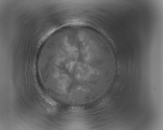 X0000077370487200610201352