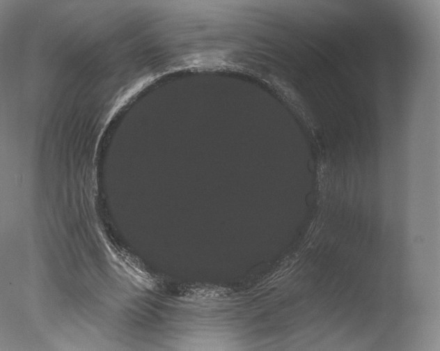 X0000077370488200610201352