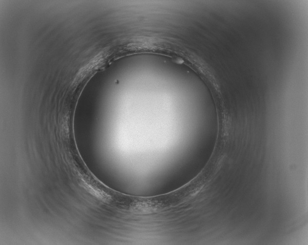 X0000077370489200610201352