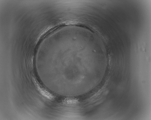 X0000077370491200610201352