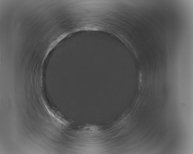 X0000077370492200610201352