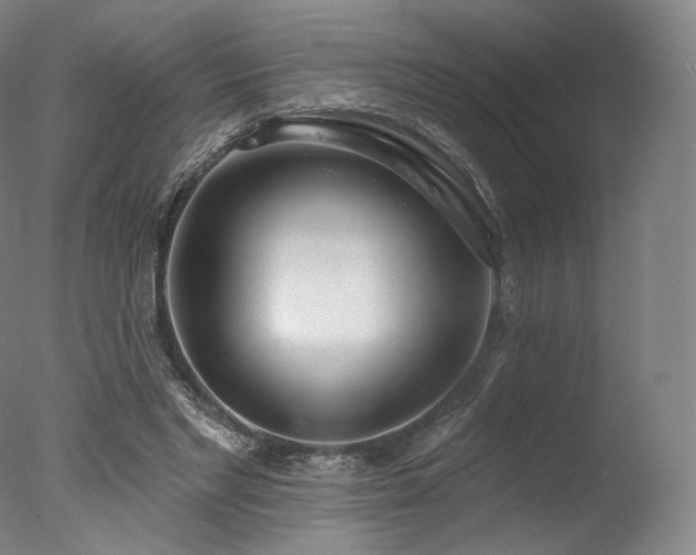 X0000077370493200610201352