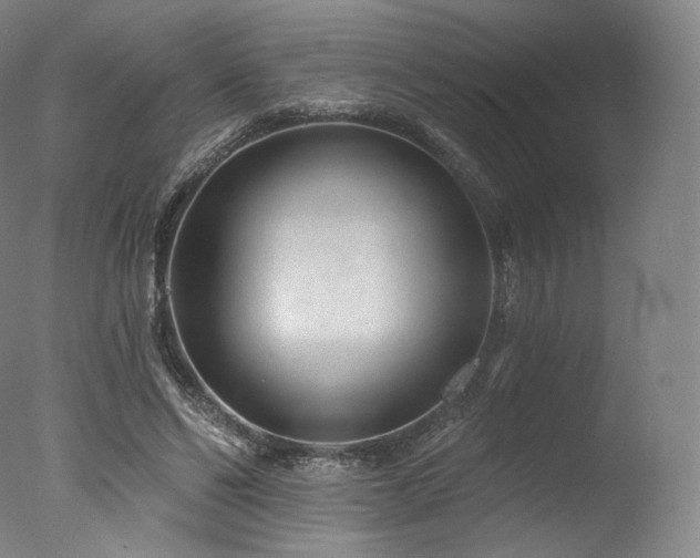 X0000077370494200610201352