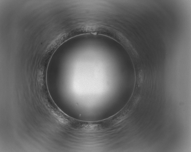 X0000077370497200610201352