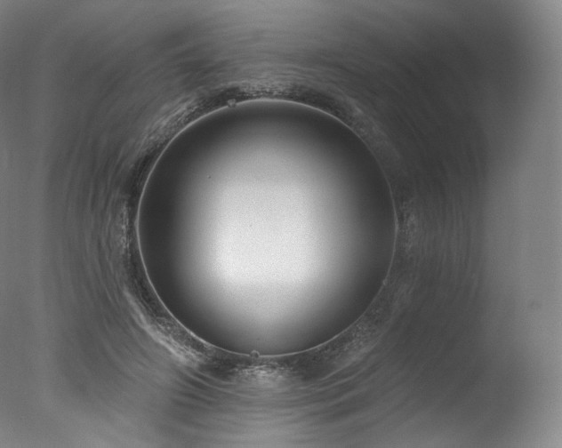 X0000077370498200610201352