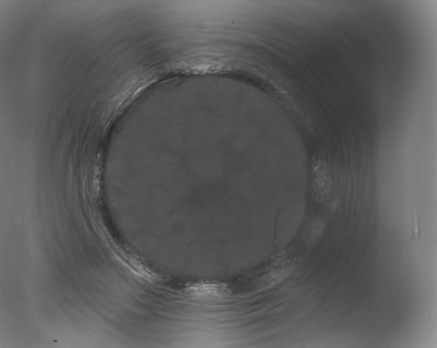 X0000077370499200610201352