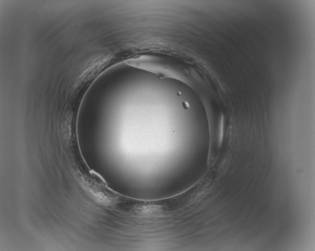 X0000077370501200610201352