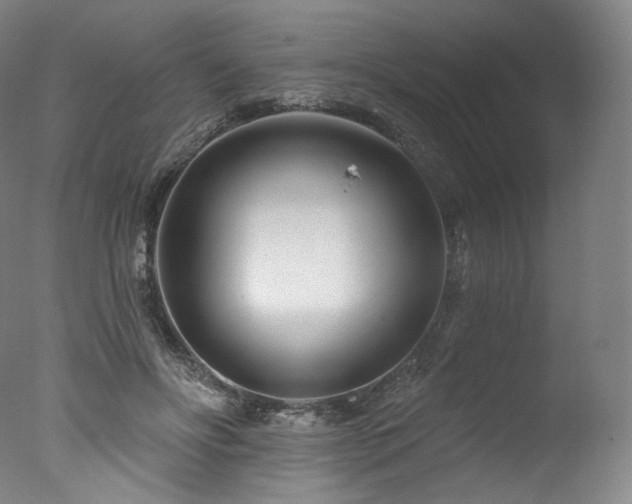 X0000077370502200610201352