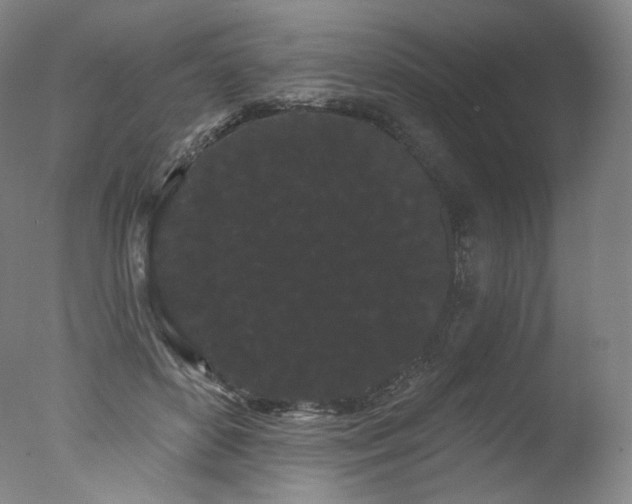 X0000077370504200610201352