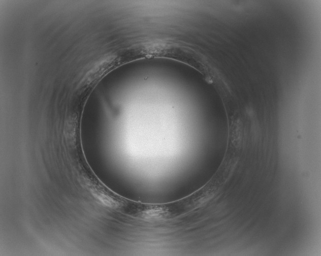 X0000077370505200610201352