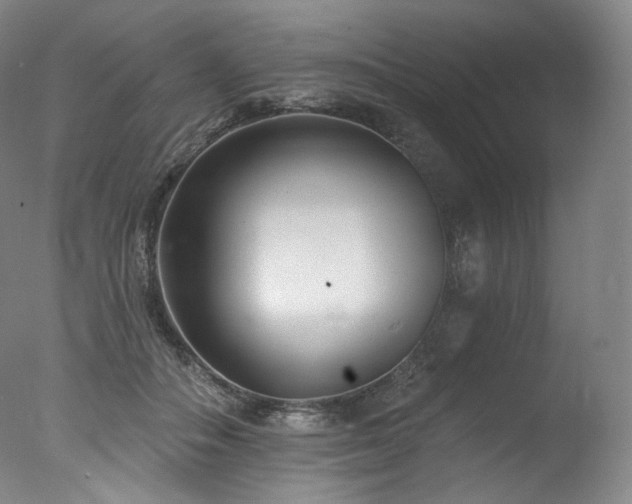 X0000077370506200610201352