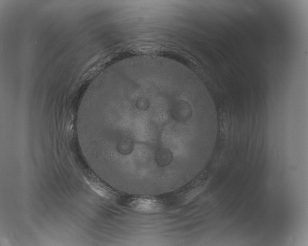 X0000077370507200610201352