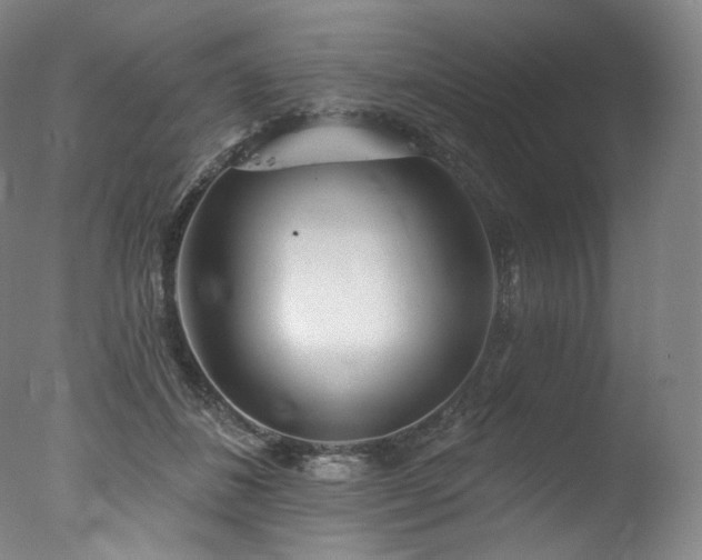 X0000077370508200610201352