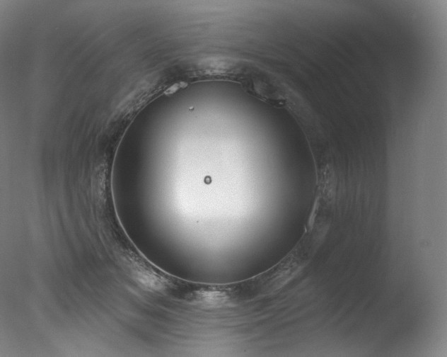 X0000077370509200610201352