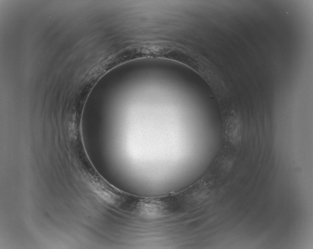 X0000077370510200610201352