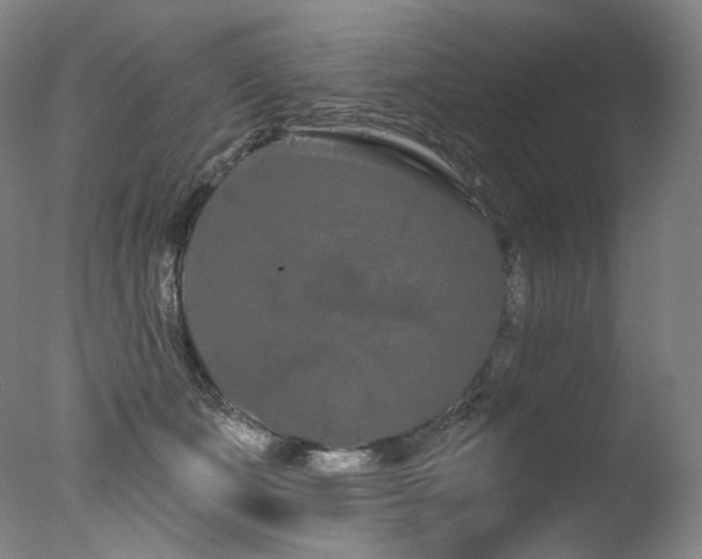 X0000077370511200610201352