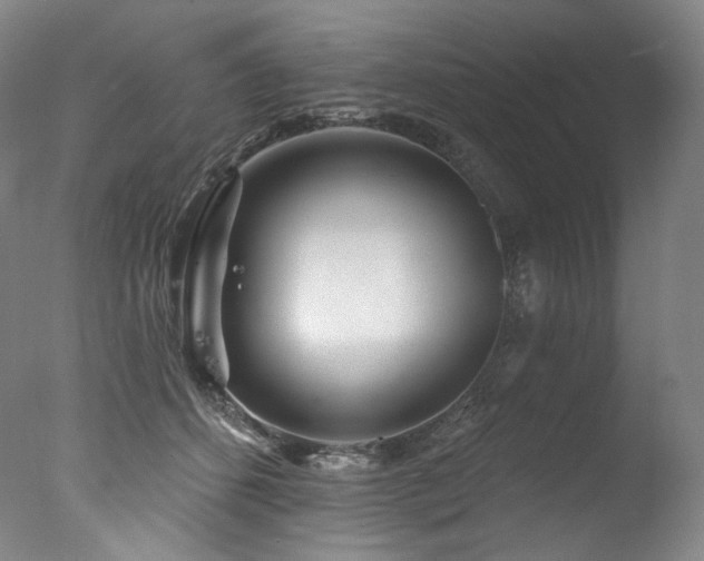 X0000077370512200610201352