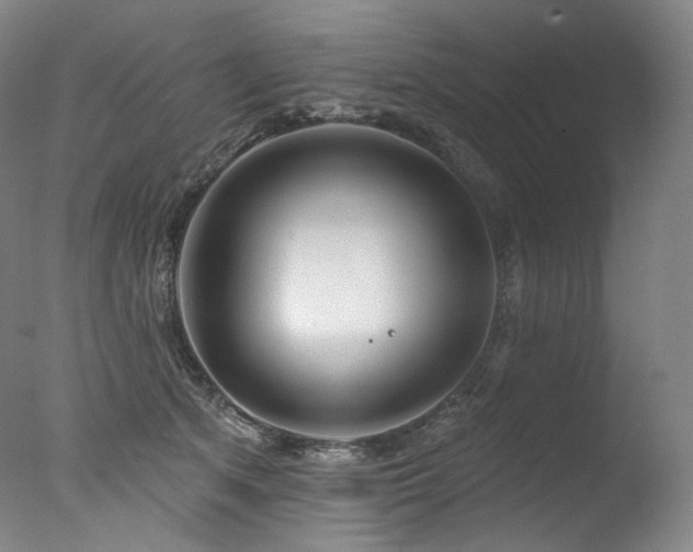 X0000077370513200610201352