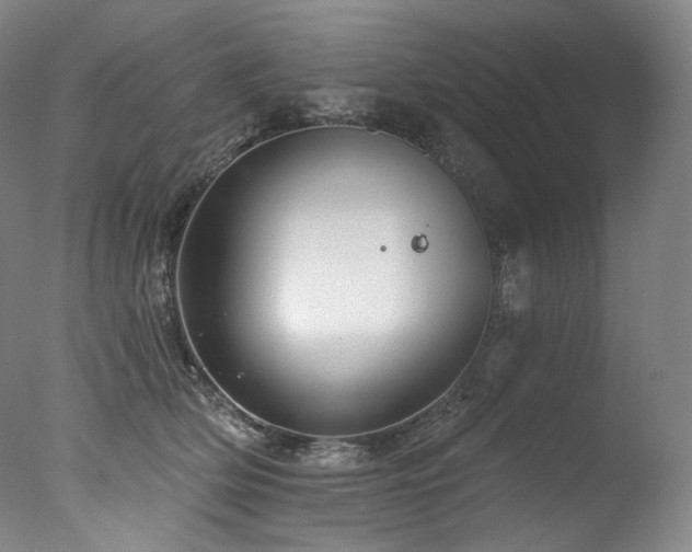 X0000077370514200610201352