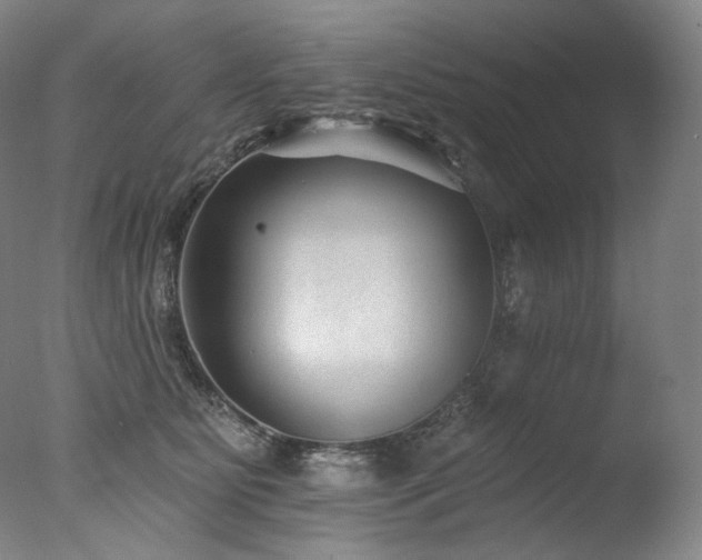 X0000077370515200610201352