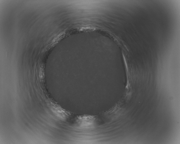 X0000077370517200610201352