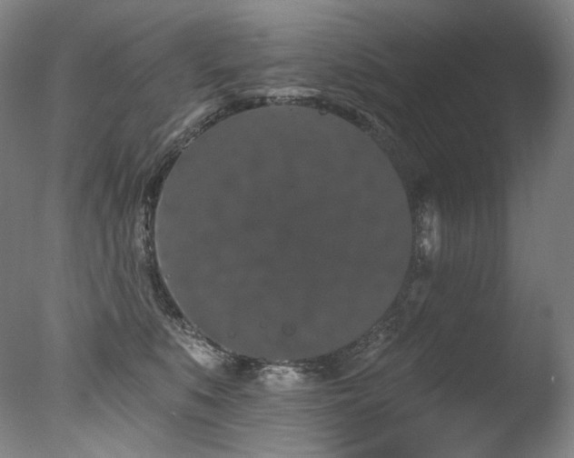 X0000077370519200610201352