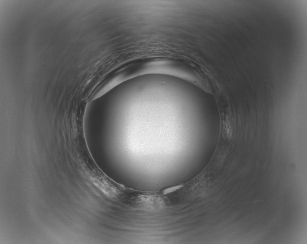 X0000077370520200610201352