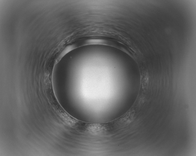 X0000077370521200610201352