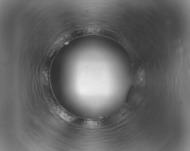 X0000077370522200610201352