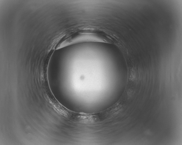 X0000077370524200610201352