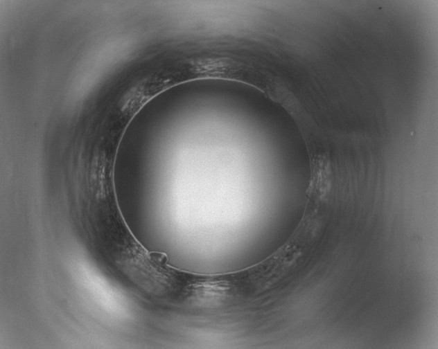 X0000077370525200610201352