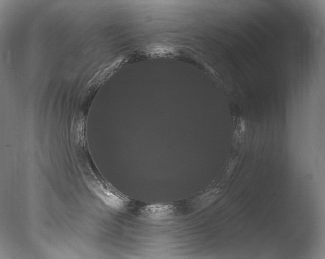 X0000077370526200610201352