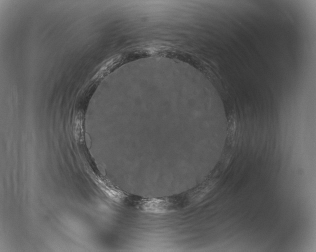 X0000077370527200610201352