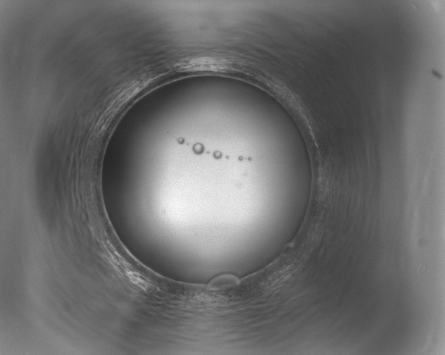 X0000077370529200610201351