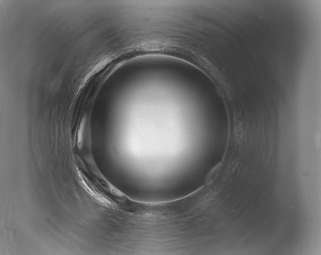 X0000077370530200610201351