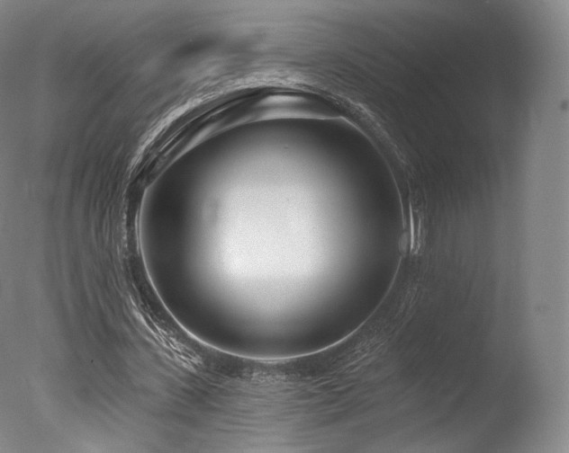 X0000077370531200610201351