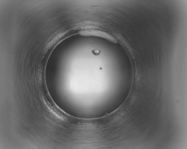 X0000077370533200610201351