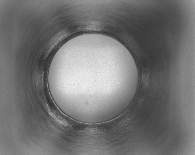 X0000077370534200610201351