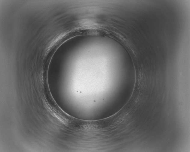 X0000077370535200610201351