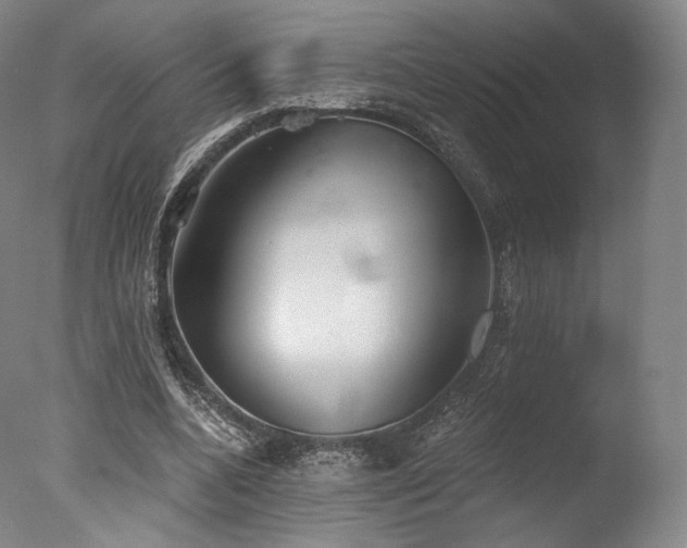 X0000077370536200610201351