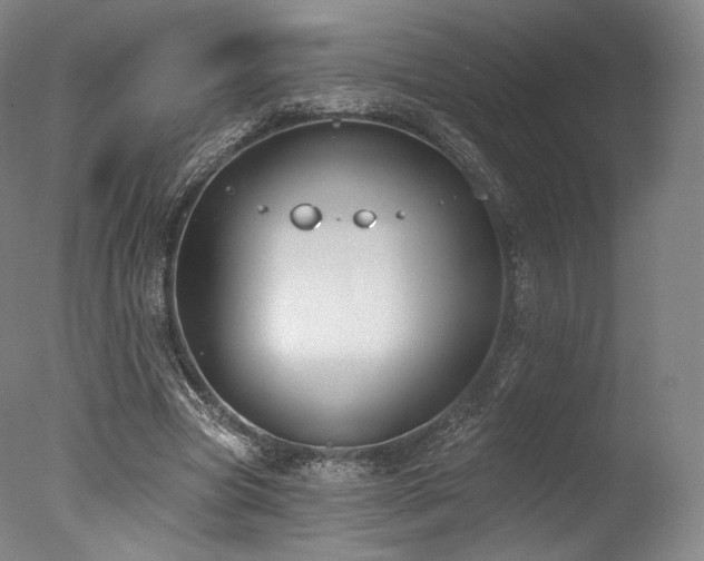 X0000077370537200610201351