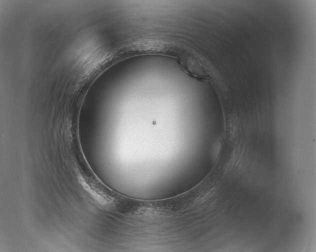 X0000077370538200610201351