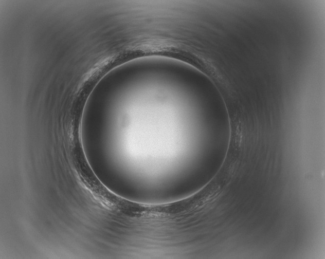 X0000077370539200610201351