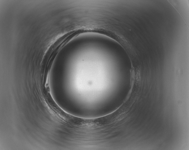 X0000077370540200610201351